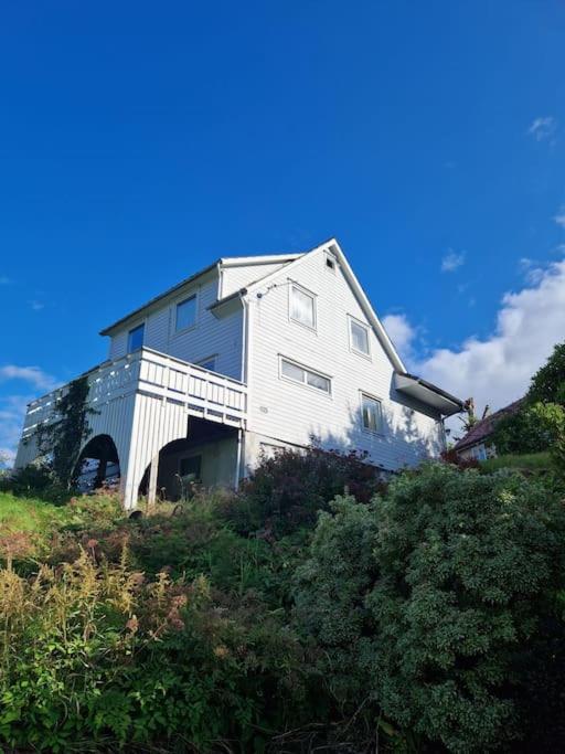 Madsgard Villa Etnesjoen Luaran gambar