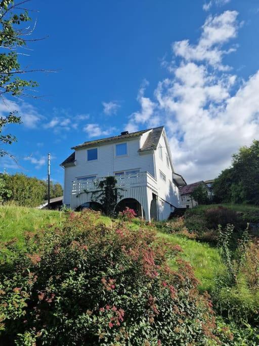 Madsgard Villa Etnesjoen Luaran gambar
